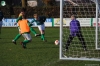 egvv_dsc_1462.jpg